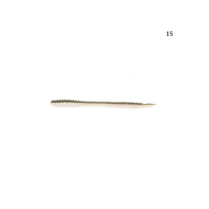 Alternative view of Legio Aurea Augustus