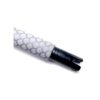 Artico Dentex - immagine 3