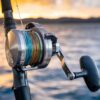 Daiwa Saltiga LD - immagine 3