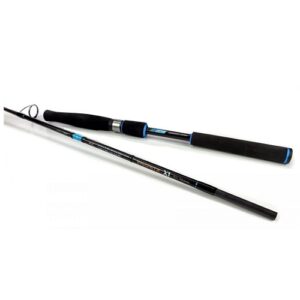 Favorite X1 SW Speciale Italia