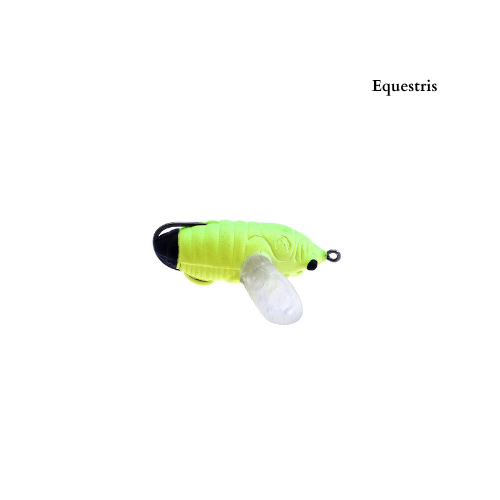 Legio Aurea Catilina - immagine 3