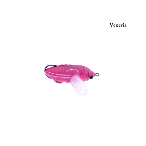 Legio Aurea Catilina - immagine 2