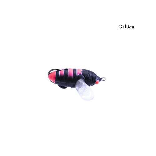Legio Aurea Catilina - immagine 6