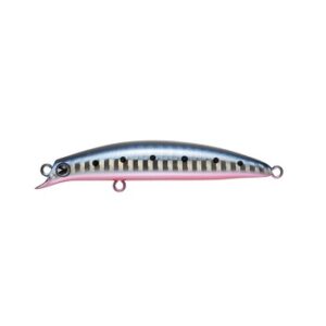 Ima-Sasuke-SF-75 il maestrale pesca