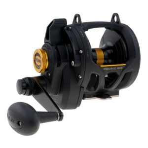 Penn Squall VSW 2 Speed