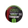 Filo Fluorocarbon Seaguar Secol