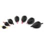 Tubertini Black Drop