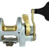 Shimano Talica 8 Lbs - immagine 2