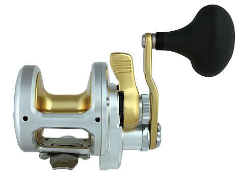 Shimano Talica 8 Lbs - immagine 2