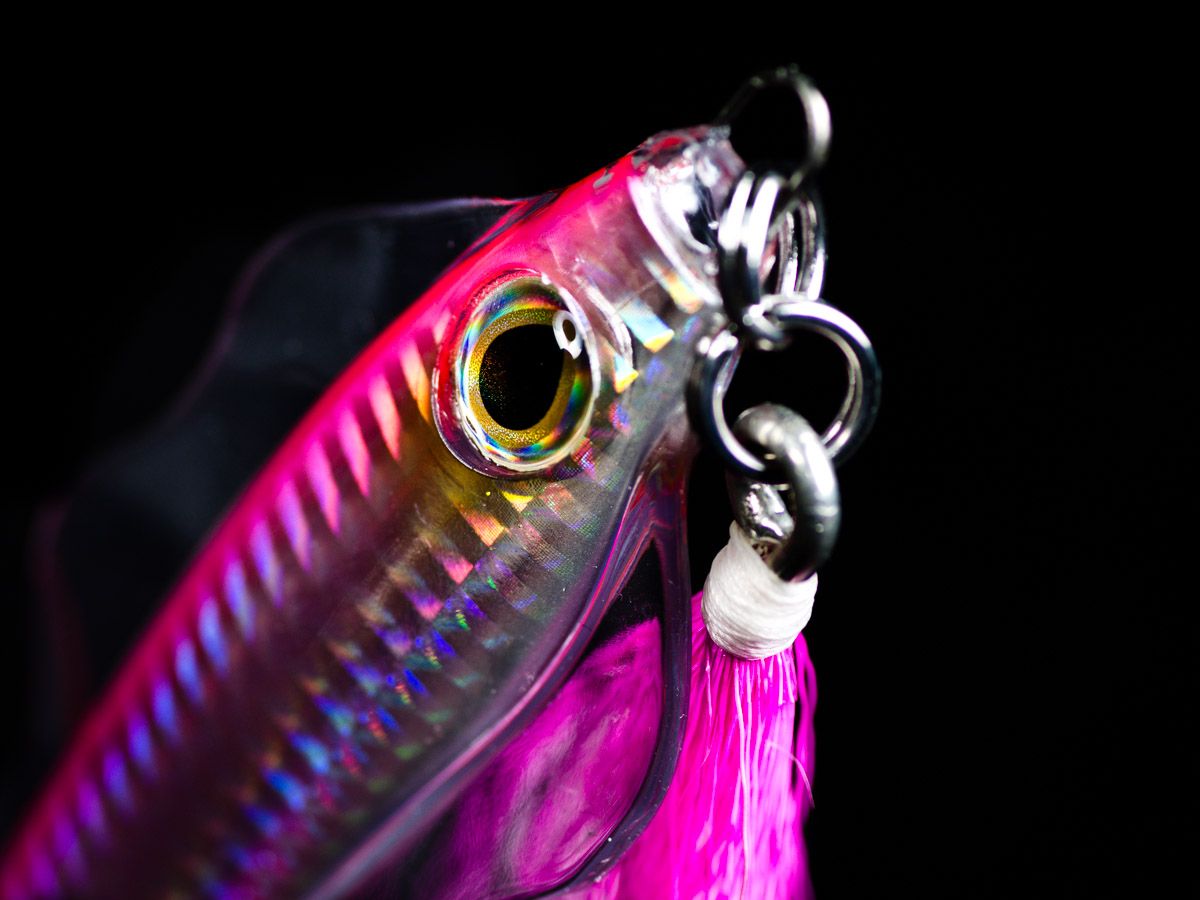 molix magux il maestrale pesca