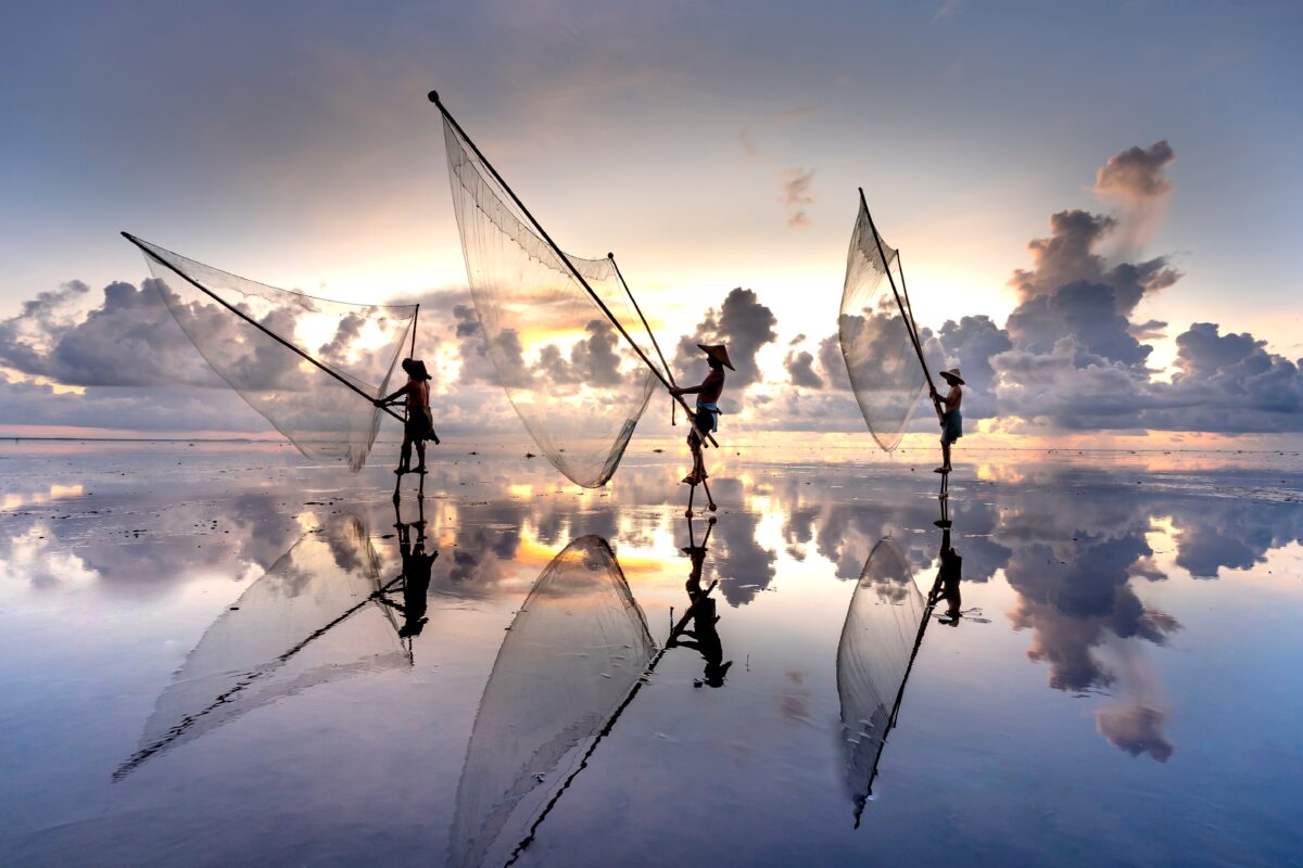 pesca sostenibile e responsabile il maestrale pesca