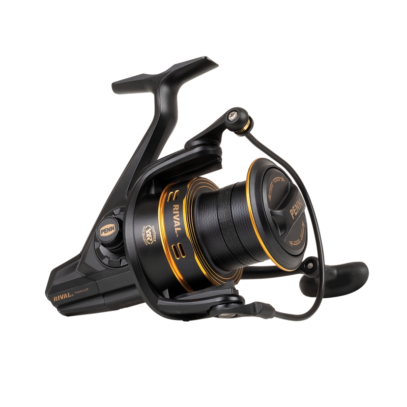 Penn Rival LC 7000 Gold il maestrale pesca