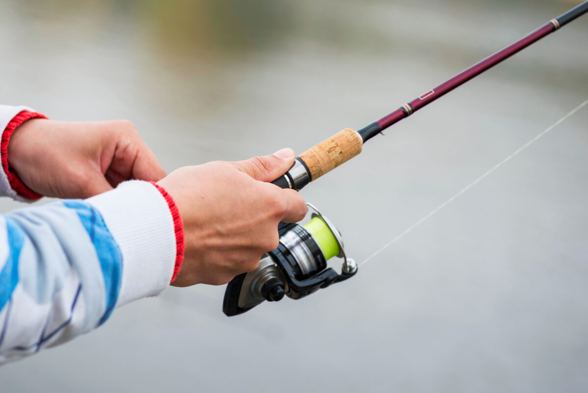 pesca a spinning