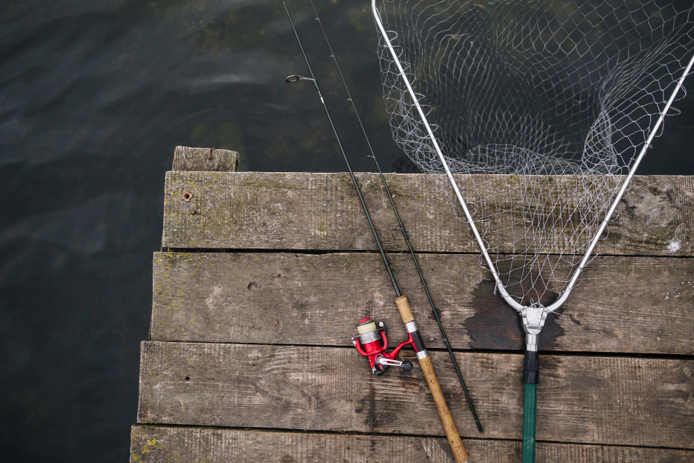 pesca a ledgering