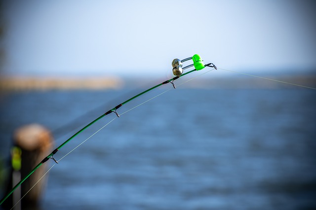 pesca a fondo