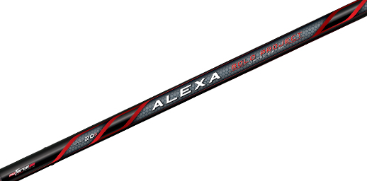 Colmic Alexa Bolo Project