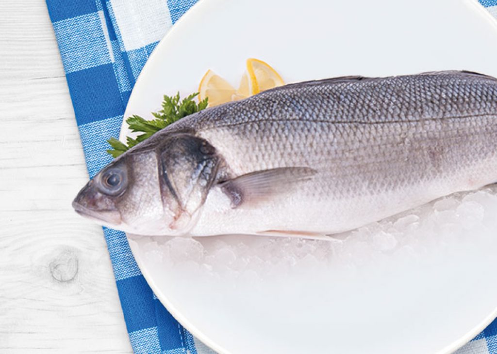il branzino
