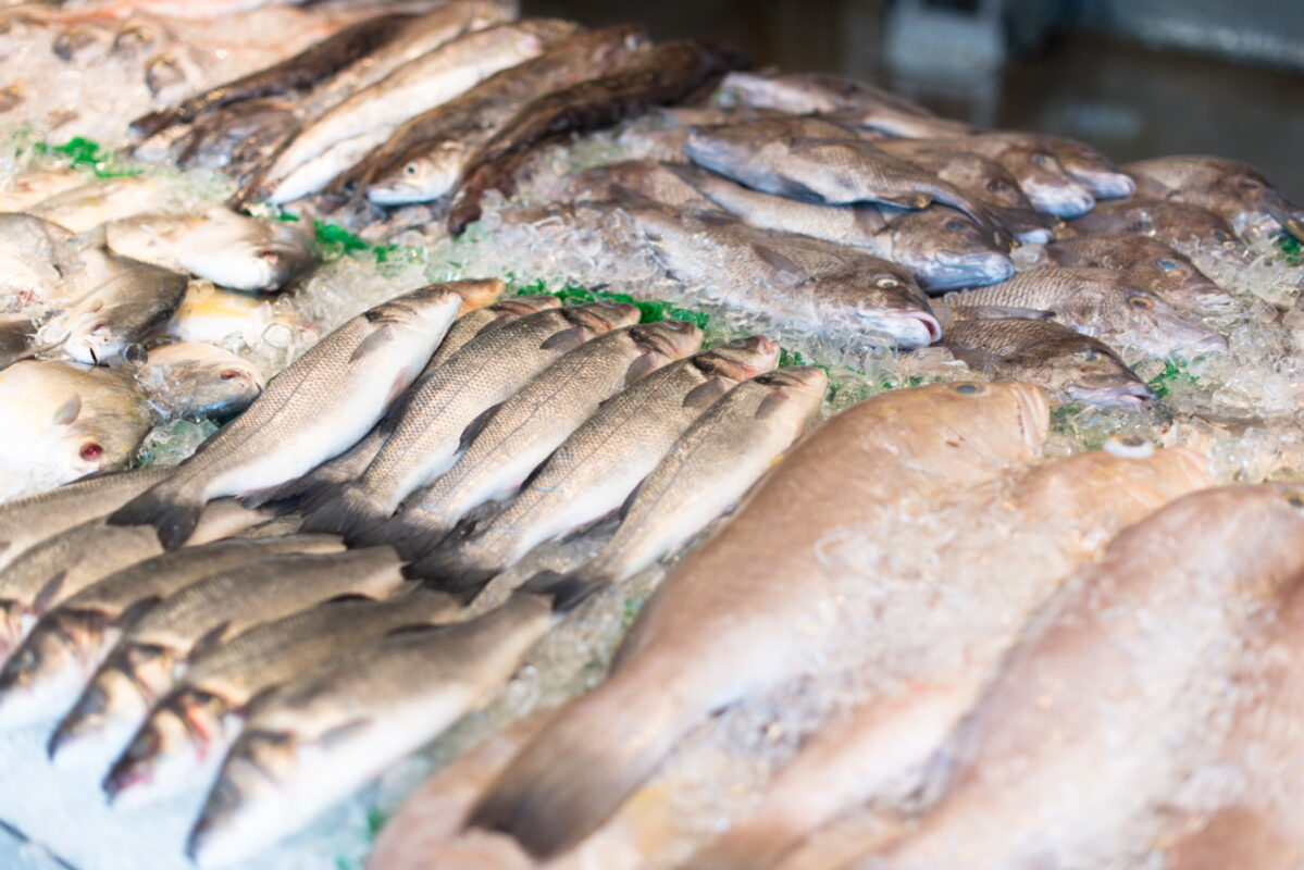 pesce pescato mare