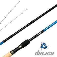 ITALICA SINTEX FEED