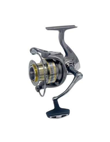 Alcedo Fremont Evo